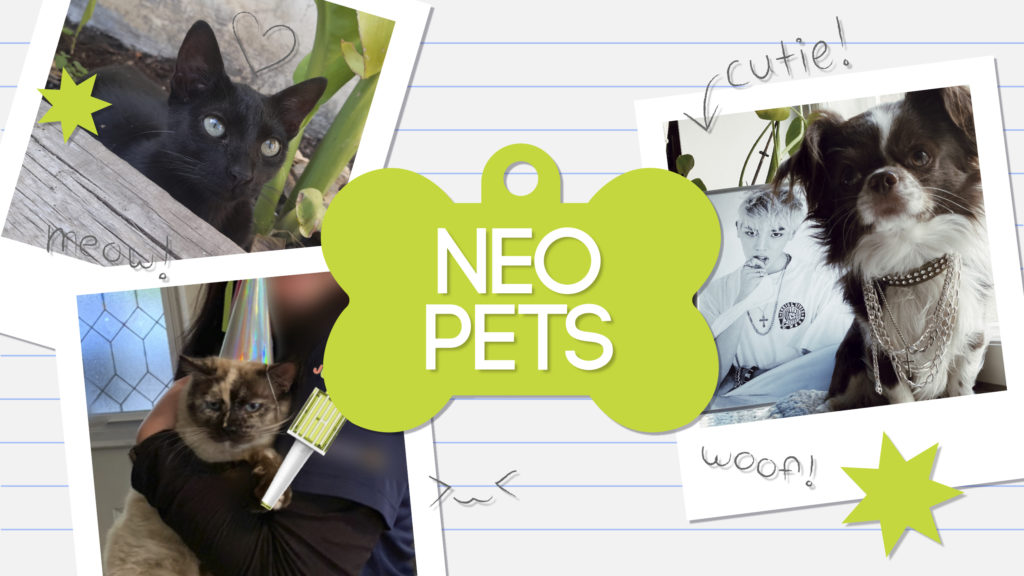 Neo Pets: Summer 2021