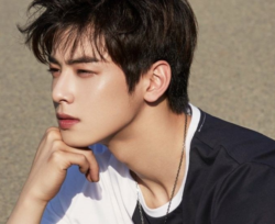 Cha Eunwoo