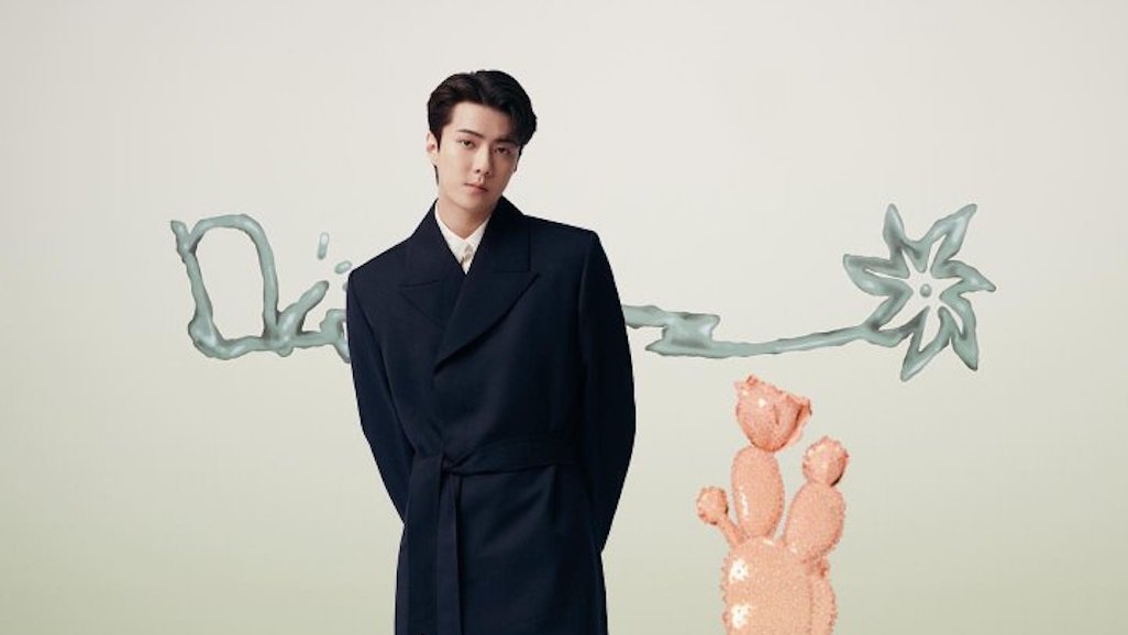 Dior Global Ambassador, Sehun, Joins the unveiling of the Pre-Fall 2022  collection - EnVi Media