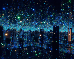Infinity Mirror Room - Filled with the Brilliance of Life