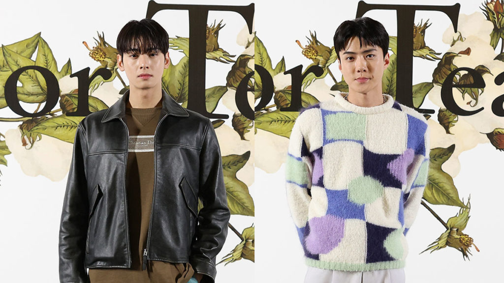 Cha Eun woo at Dior Men 2022 Winter Collection