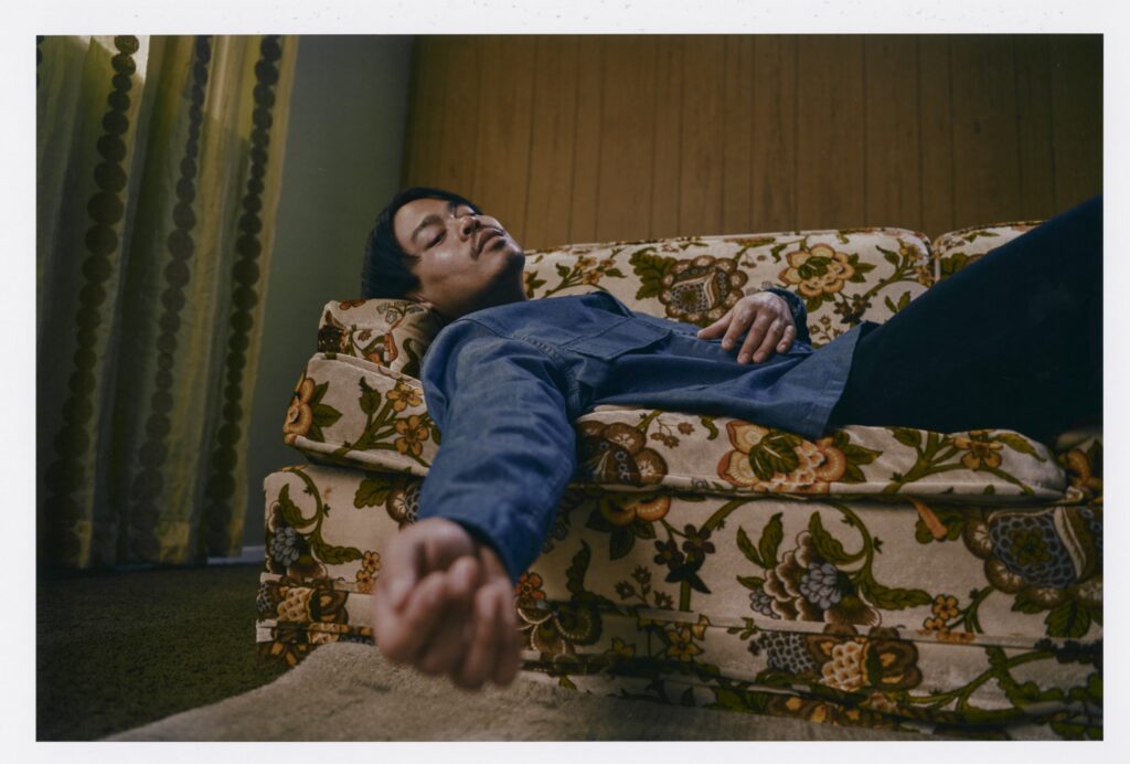 Close up image of Labit laying on a floral couch.