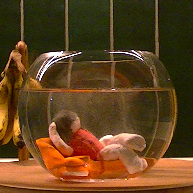 JAIE - "Tropical Downpour" : Sunday Spin November 30, 2025